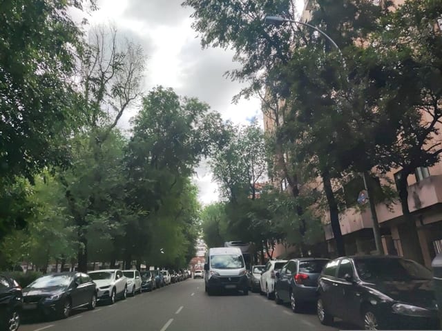 Bar el 88