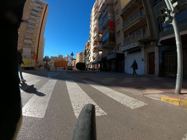 Botera