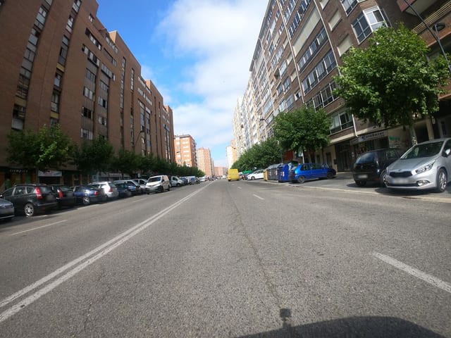 Seijas