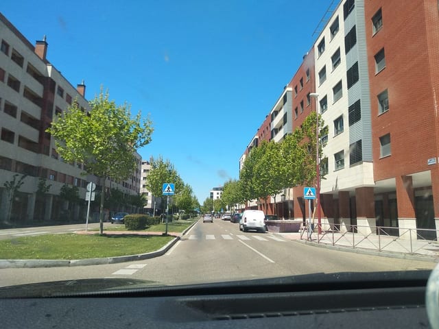 Mestizo