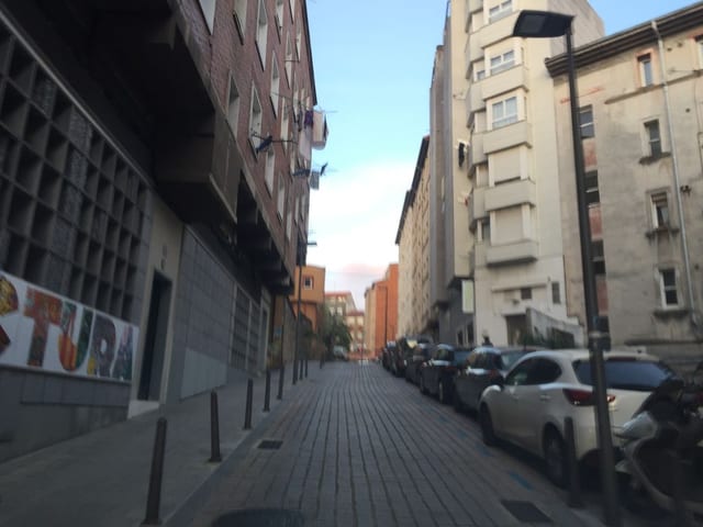 Mala vida