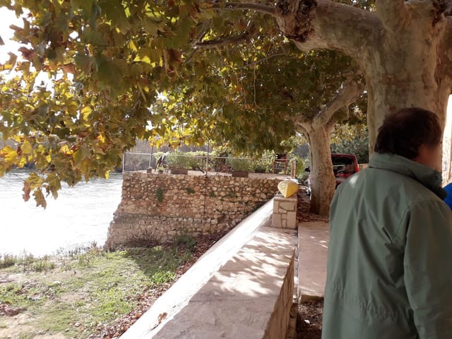 Amadeo