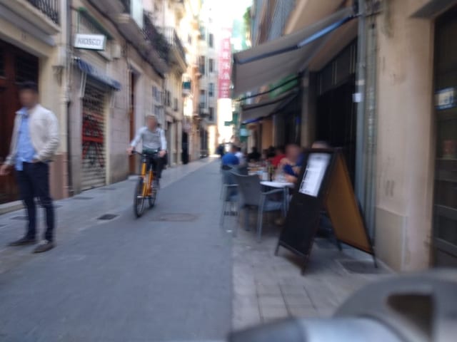 Ostras Pedrin