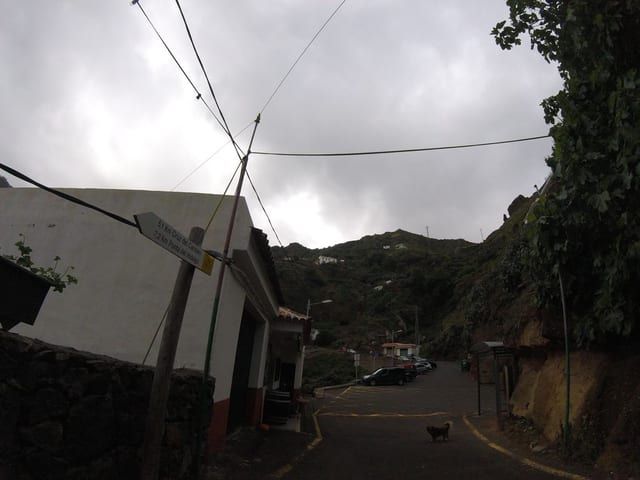 Mi Pueblo