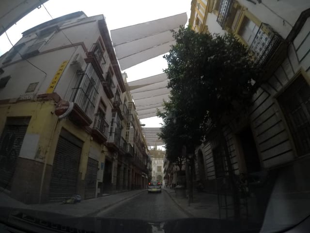 Café Picalagartos